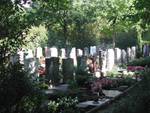 Graeberfeld